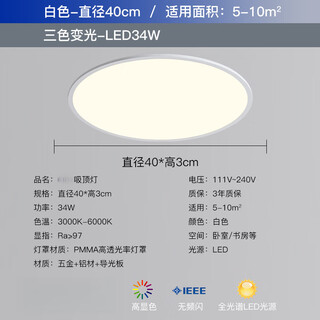 祎琳（yilin）圆形客厅吸顶灯卧室灯简约现代北欧极简大气家用书房间led灯 白-护眼防蓝光Ra>97_40CM 三