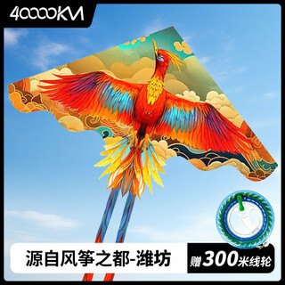 四万公里风筝新款大成人专用潍坊线轮盘微风易飞儿童亲子互动户外运动玩具