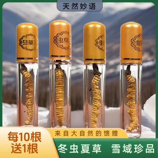 雪鸢堂精选冬虫夏草正宗藏区高原0.3克/根滋补礼盒虫草冬虫夏草虫草