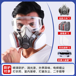 Gas mask, carbon monoxide, toxic gas spray paint, smoke mask, dust mask, industrial dust, advanced full face protection, toxic chemical gas special fire escape, 6200 dust-proof gas mask + anti-fog eye mask