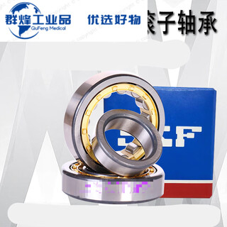 Roller bearing n nu nj310 311 312 313 314 315 316 317 318e n310ecm others