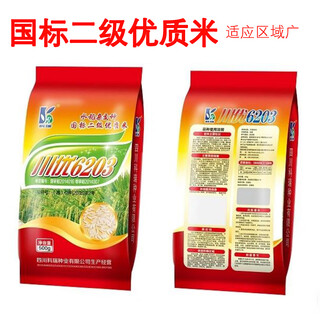 Rice seed, high yield, tillering, strong resistance to disease and lodging, fragrant rice, delicious thai rice variety chuanyou 6203 chuanyou 6203 rice seed 1 bag/500g