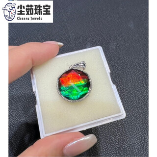 Chenru natural canadian ammonite blue and green two color star of david pendant necklace blue green 10mm