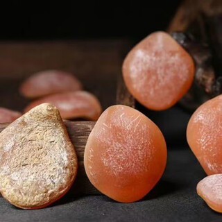 Shuque big herring stonefish shocking stone fish throat bone anti-frightening natural extra large fish essence raw fish frightening bone 15-16g raw stone (send rope + tools)