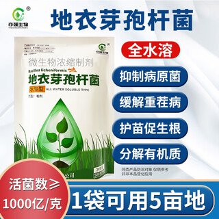亦强生物（YIQIANGSHENGWU）水溶型地衣芽孢杆菌改良土壤降低作物危害促进作物生长500克/包 500克/包