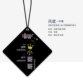 Regun platinum car fragrance tablets car perfume light fragrance car aromatherapy essential oil hanging pendant car interior supplies style 1