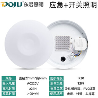 SUOYADA消防应急照明吸顶灯紧急停电感应灯声控楼道走廊新国标LED灯 东君12w应急吸顶灯