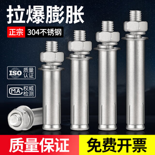 Jinggong 304 edelstahl-expansionsschraube peng expansionszugbolzen expansionsrohr nagelexplosion geckoschraube schraube zement 304-m20*200 (1 stück) stempel 25 mm