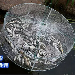Baichao thick round shrimp pot fishing net fish pot shrimp net fishing net fishing gear transparent white shrimp pot folding shrimp pot 4 imports (diameter 33 cm)
