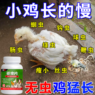 Anthelmintics for chickens to remove intestinal worms, nematodes, coccidia, lice, fleas, internal and external worms, chickens, ducks and geese, 3 bottles of deworming tablets, insect-free chickens gain weight rapidly