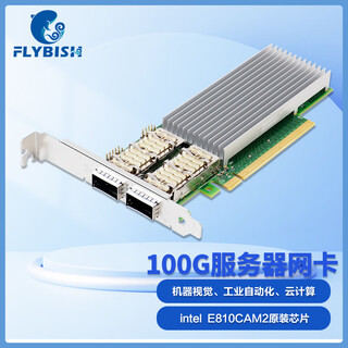 昆鱼（FLYBISH）Intel 芯片PCI-E 82599万兆X520-DA2双口 X710-DA4四口E810 25G四口40G双口100G光纤网卡 E810-CQDA2【100G双口PCIEx1
