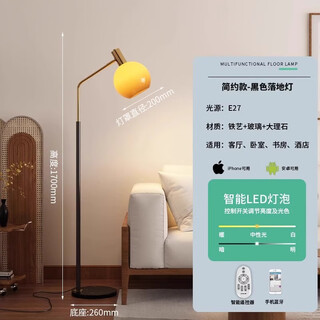 Zhongshuai nordic minimalist floor lamp living room sofa side bedside lamp bedside modern personalized decorative ambience lamp vertical simple style - black floor lamp stepless dimming