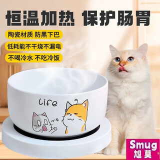 旭漠酸奶机猫咪恒温饮水机恒温水碗加热喂食喂水猫碗宠物过冬天神器 白色对话喵-800ml【基础恒温】
