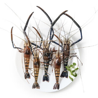Fresh macrobrachium rosenbergii 250g (12-18 pieces)