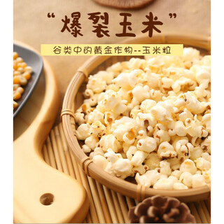 Graines de pop-corn spécial sphérique à haut rendement résistant aux maladies graines de pop-corn à maturation précoce plantation de jardin de printemps graines de pop-corn 500 grains engrais de chanson