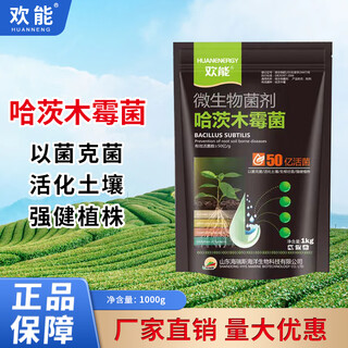 Huaneng trichoderma harzianum microbial agent resists repeated cropping, prevents dead trees from root rot, takes root and suppresses soil-borne diseases