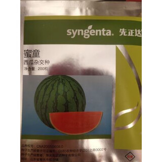 Syngenta super sweet gift watermelon seeds honey boy watermelon seeds super crack resistant seedless watermelon seeds honey boy watermelon seeds 200 original
