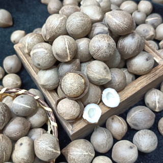 Coconut king of the sea little coconut health ingredients king of sea coconut pocket coconut soup stew dessert king of coconut king of the sea coconut king with shell 100g about 16-18 pieces