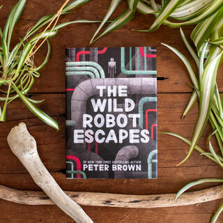 英文原版 荒岛机器人逃跑了 精装 The Wild Robot Escapes 凯迪克奖得主彼得布朗 Peter Brown