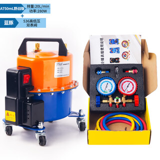 Tnbrothers car air conditioner pump dual-purpose vacuum pump refrigerator repair tool tire inflator refrigerant filling adjustable motor 750 field version + 536 double watch case 30% people use
