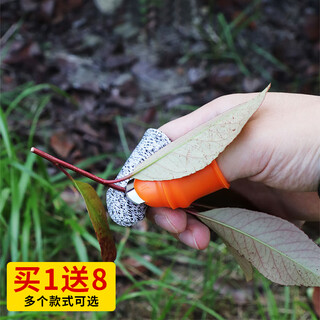 Dedong pepper-picking artifact gloves for picking vegetables, tea leaves, cherry vegetables, nail tips, picking finger scissors, fruit and vegetable thumb knife, women's model, 1 thumb knife + 5 finger cots