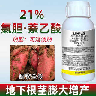 21% chlorcholine acetate, choline chloride, salty nitrogen-reducing base, naphthalene acetate, potato ginger, dipangge enlargement agent 100g