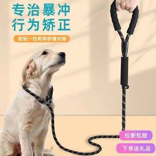 Dog leash explosion-proof p-chain golden retriever teddy adjustable dog leash small, medium and large dog walking leash 1.2cm (large dogs) dark black 3 meters