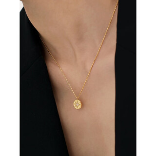 Xuanyong european and american french retro delphes polaris coin pendant necklace for women 18k gold plated clavicle chain gold