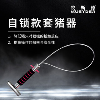 Mushide pig catching artifact stainless steel pig holding device set pig artifact catching set pig mouth small and large pig holding device disinfected and delivered with lock