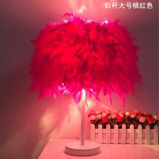 曜添创意简约欧式羽毛台灯卧室床头公主婚房温馨LED生日礼物玫瑰台灯 大号白杆桃红色羽毛 调光开关