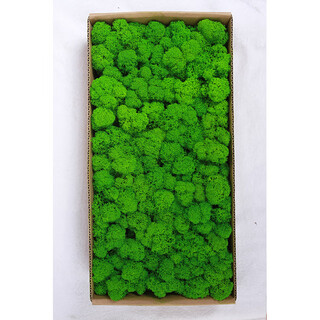 Plant boxed flower material package diy dry dried flowers real flower plant wall simulation fluffy background wall light green 500g