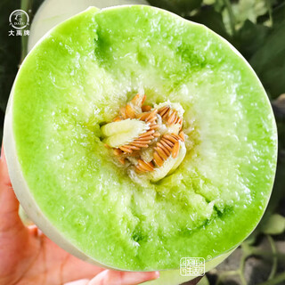 Dayu xinjiang hami melon seeds, southern reticulated melon seeds, early-maturing melon seeds, jade mushroom melon seeds, 30 capsules, 5 bags, thick and juicy flesh