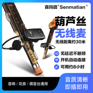 Samantian q09 2.4g musical instrument wireless microphone hulusi flute erhu professional pickup one-to-two stage performance special microphone recording amplification musical instrument microphone hulusi special microphone (ordinary model) official standard