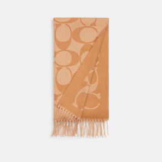 Coach officially authorized men's and women's scarf classic print men's and women's couple's autumn and winter warm scarf khaki color
