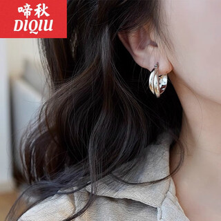 Tiaoqiu niche french hoop earrings 2024 new trendy light luxury sterling silver earrings design cold style earrings versatile silver earrings