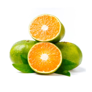 江西寻乌无核蜜橘1kg
