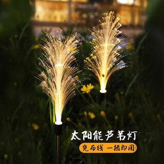 Shiyan solar garden light outdoor waterproof home garden yard villa reed outdoor decorative ground plug light solar fiber optic reed light single pack