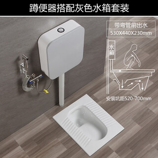 Dongpeng ceramic all-in-one squat toilet complete set of bathroom toilet deodorant squat toilet household toilet squat toilet squat toilet with elbow front water outlet and gray water tank package