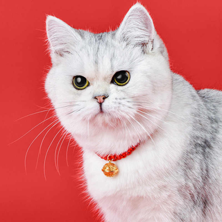 Jingji cat collar neck decoration pet necklace collar kitten new year red rope bell chinese style dog collar accessories red rope-bell style range 18-32cm