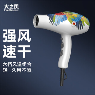 Fire phoenix hair dryer for barber shops, negative ion 2200w high power hair salon, high wind, quick drying, household high speed constant temperature hair care without damaging hair 8960 8960h white parrot (2400w)