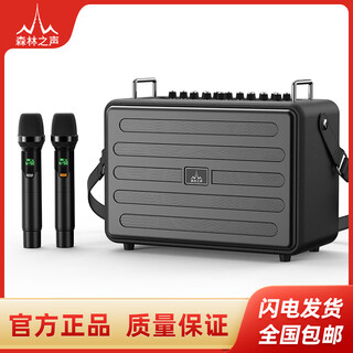 Voice of the forest s2 outdoor performance guitar playing and singing electric blowpipe saxophone musical instrument audio karaoke wireless bluetooth live broadcast speaker charming black (playing and singing version)