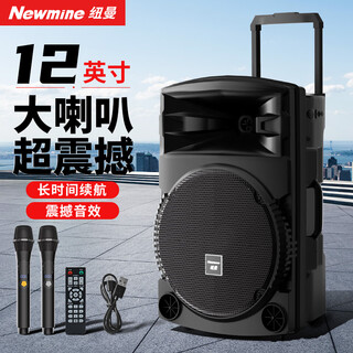 Newman n521 square dance audio high power subwoofer outdoor high volume k song bluetooth trolley speaker portable mobile stall speaker double wheat belt adapter 12 inches
