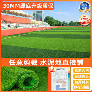 Elegant artificial lawn outdoor artificial floor mat balcony kindergarten colorful outdoor fake lawn decoration fake turf upgraded model (2m*2m) 3cm special thick anti-aging durable ten years / formaldehyde-free