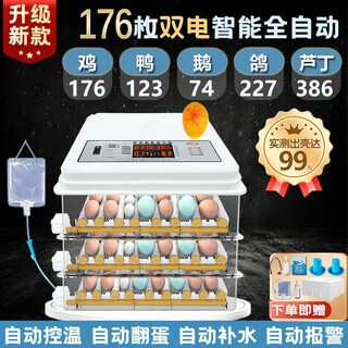 CLCEY小鸡孵化器全自动2024小型家用智能鸡鸭鹅鸽子芦丁鹌鹑孵蛋器孵 176枚全自动双电温湿双显+五模式