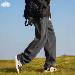 Dingfengbaoluo overalls men's autumn japanese style straight solid color loose hong kong style casual pants dfs12 gray l