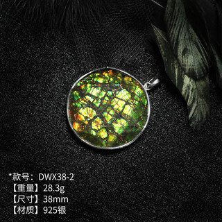 Menbin canadian natural ammonite stone rough stone 1238mm star of david colored gemstone pendant necklace for men and women dwx38-2