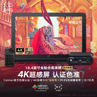 XPPen数位屏Artist Pro19(4K)手绘屏 电脑绘画板 专业绘画数位板 连接笔记本手绘板AP19手写板电子画板