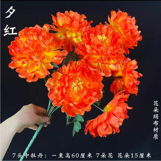 A bouquet of peonies for sweeping the tomb. a large bunch of flowers for visiting the tomb during qingming festival. flowers placed in front of the tomb to worship ancestors. chrysanthemums and apple blossoms. 7 medium peonies. 1 bouquet of evening red flowers.