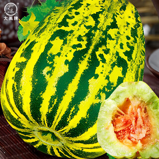 Dayu balixiang muskmelon seeds cantaloupe old variety tiger skin melon field planting autumn and winter extra large balixiang muskmelon muskmelon seeds about 30 pieces