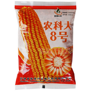 Семена кукурузы Университета сельскохозяйственных наук и технологий № 8, одобренная на национальном уровне кормовая кукуруза для полевых работ, липкий мешок, высокоурожайная, устойчивая к болезням, гибридная кукуруза с большой палкой.